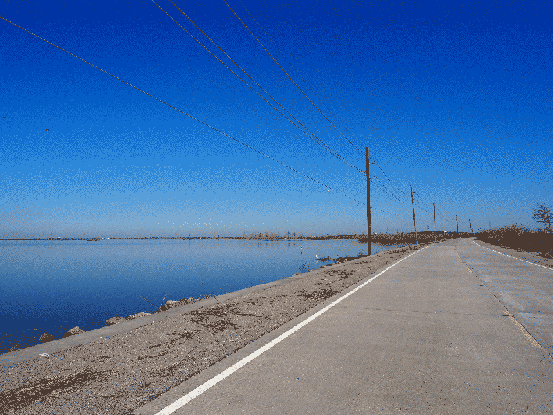 Tide Water Road, Plaquemines Parish, Louisiana, February 2022